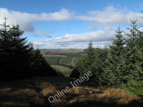 Photo 12x8 forest ride - photo,