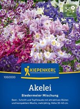 Kiepenkerl Akelei Biedermeier