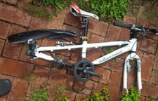 Steppenwolf Little wolf Kinder