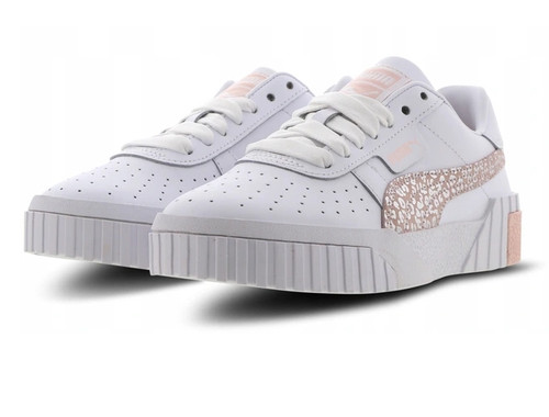 Puma cali animal neu - puma,
