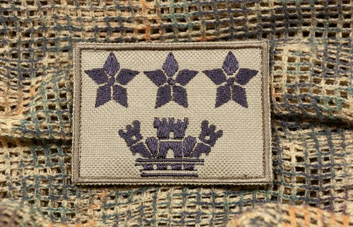 Rangabzeichen klett oberst - klett,,