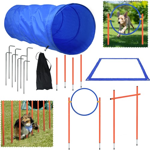 Einsteiger dog agility - einsteiger,