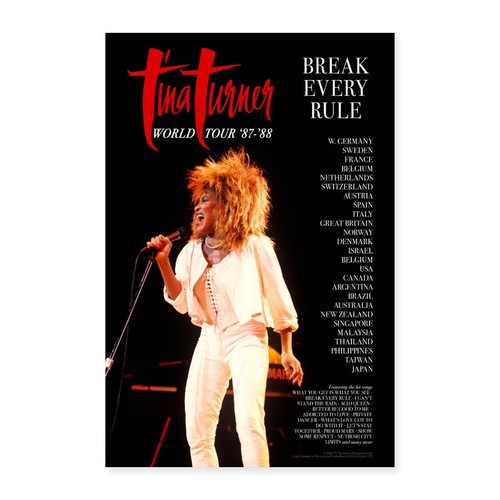 Tina turner break every rule - tina,
