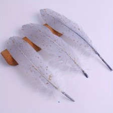 10x / Menge 15-20CM Bunte