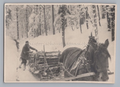 Holzknecht mit langem bart - holzknecht,