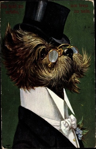 Vermenschlichter hund - vermenschlichter,