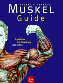 Muskel guide gezieltes - muskel-guide:,