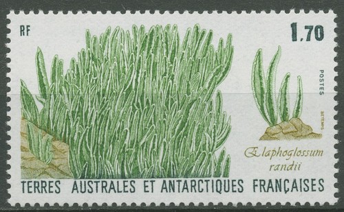 Franz antarktis 1988 - franz.,
