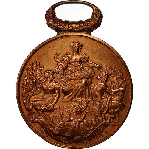 Frankreich medaille comice - frankreich,, medaille,