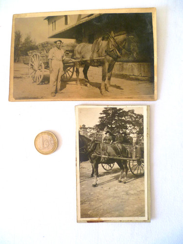 Alte fotos lauris - alte,