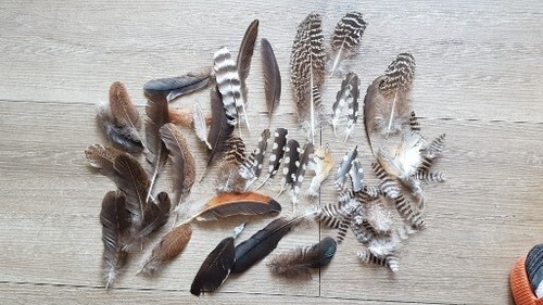 Deko federn perlhuhn - deko,
