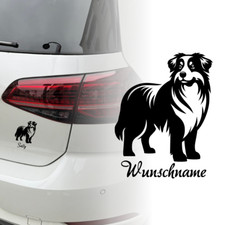 Australian shepherd auto - australian,
