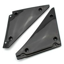 Carbon Seitenverkleidung für