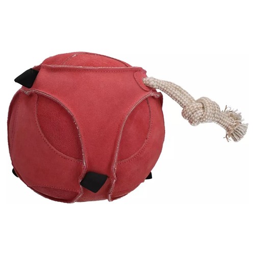 Excellent horse fun - excellent, ball