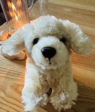 Junger Hund, Kuscheltier