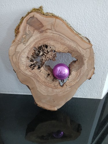 Kernfaule gestockte hohle - gestockte,