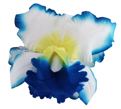Wie echt orchidee - wie, gr.