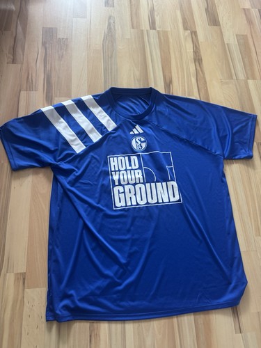 Schalke aufstieg trikot - schalke, aufstieg-trikot