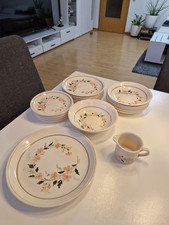 Hochwertiges Geschirr-Set