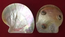 Perlmutt Dose Schale Salznapf