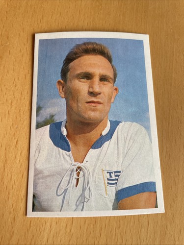 Bergmann 1965 234 fiebach - bergmann,
