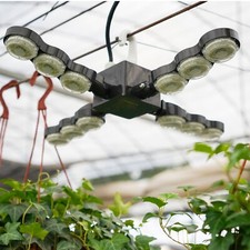 600W 4 Köpfe Faltbar LED