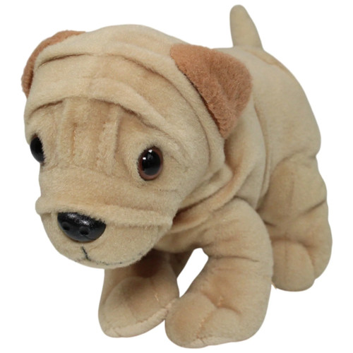 Amercom hund shar - hund, shar-pei