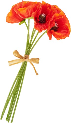 Mohnblumen bund orange stk - mohnblumen, 6