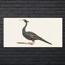 Zeichnung Tier Vogel Kunst