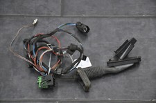 Türkabelbaum hinten rechts