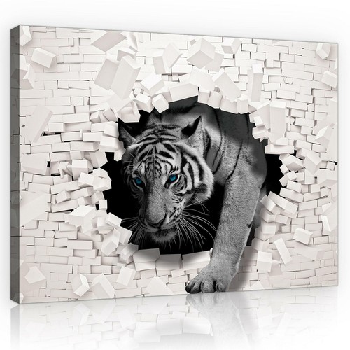 Abstrakt leinwand bilder - 3d,