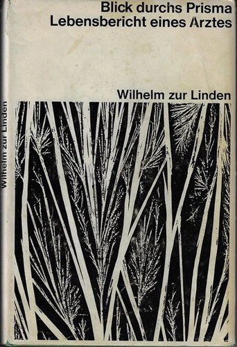 Blick durchs prisma - prisma,
