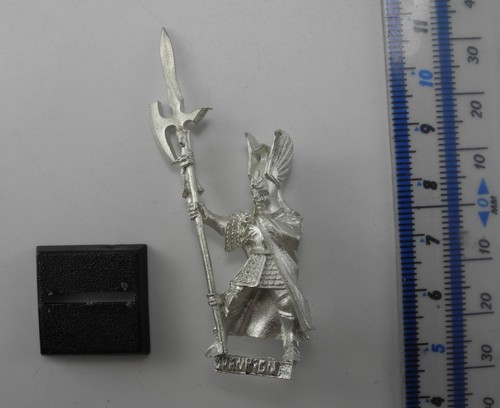 High elf phoenix guard - elf,