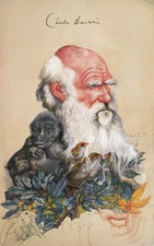 Michael Mathias Prechtl