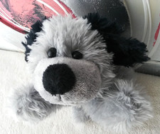 Morgenroth Hund liegend