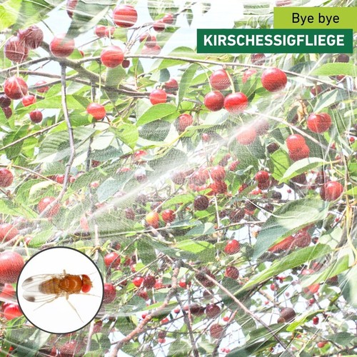 Windhager kirschessigfliegen - windhager,
