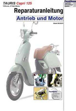 Reparaturanleitung RIS für