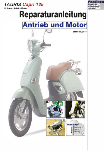 Reparaturanleitung ris für - ris,