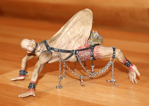 Clive barker tortured - barker’s,