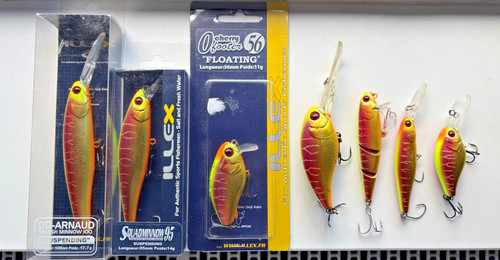 Illex visible spawning tiger - illex,