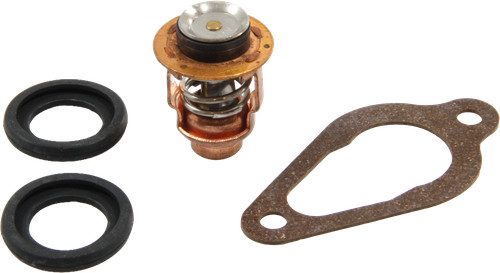 Thermostat für mercury 9 - thermostat, f9.9