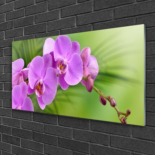 Glasbilder 100x50 wandbild - 100x50,