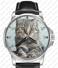 Schöne Katze Liebhaber