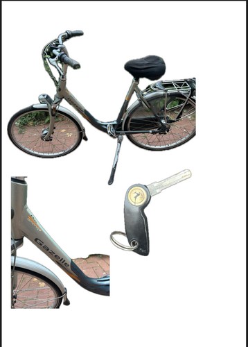 Gut erhaltenes gazelle - gut,