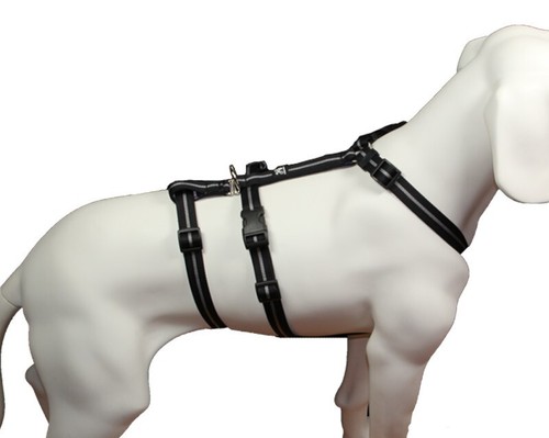 Exit hundegeschirr mit - exit,