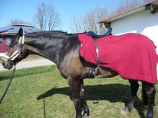 FLEECEAUSREITDECKE - NIERENDECKE  Weinrot - NEU 135 cm