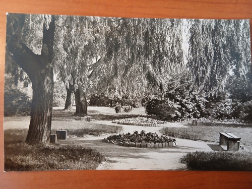 Postkarte 3013 nicht gelaufen
