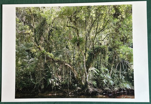 Thomas struth juquehy - struth,