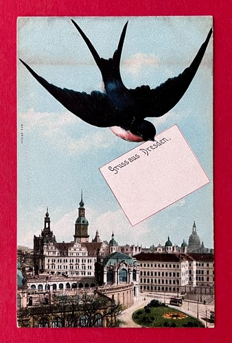 Dresden 1907 zwinger und - um,