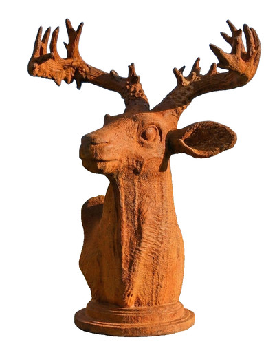 Realistische hirsch büste - hirsch,